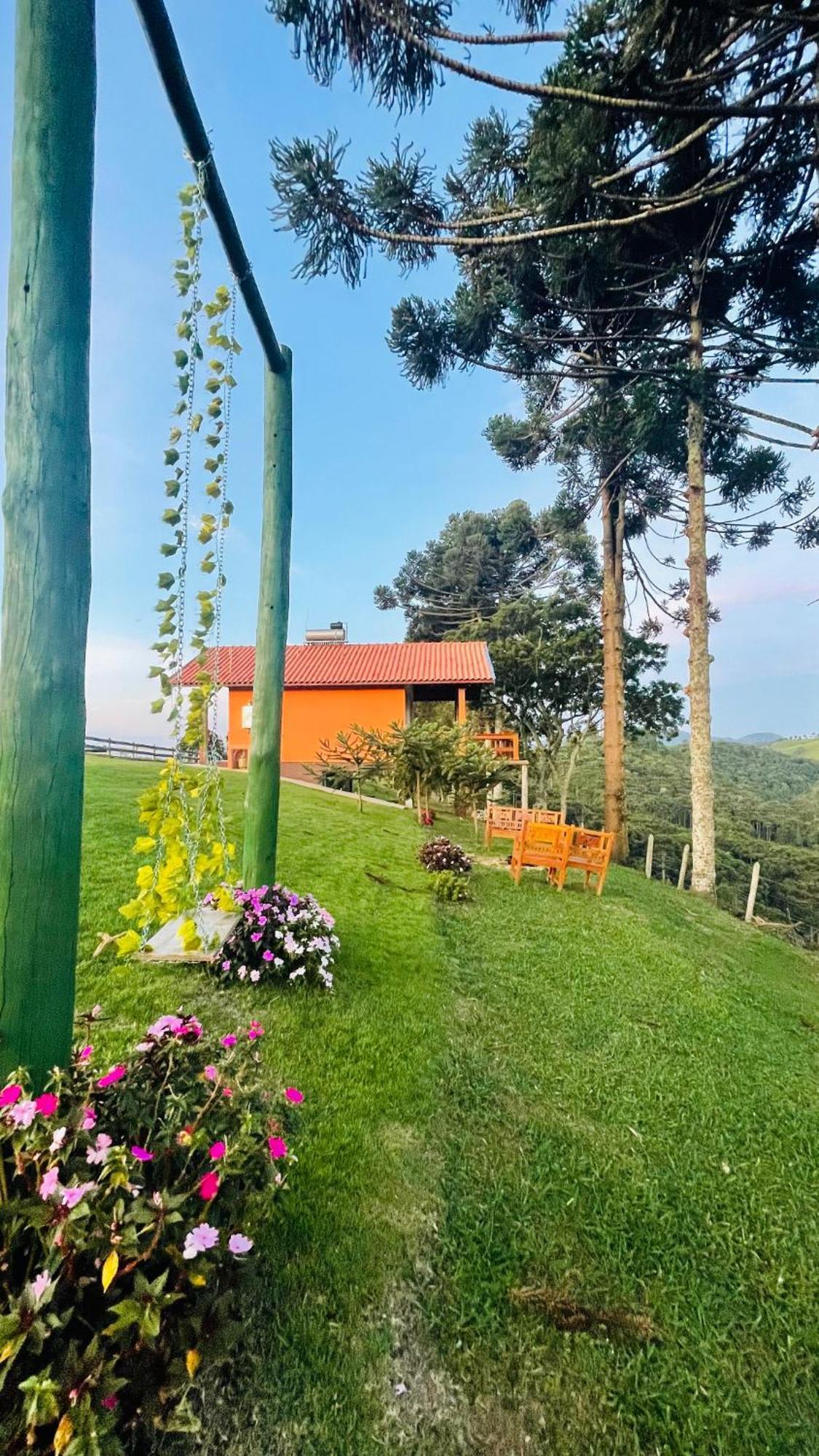 Vale Araucarias Bairro Dos Oncas Goncalves